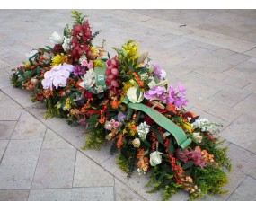 Colored Coffin top 2