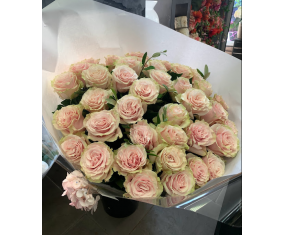 Pink roses 2
